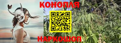 гидра Шебекино