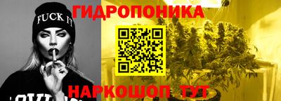 гидра Шебекино