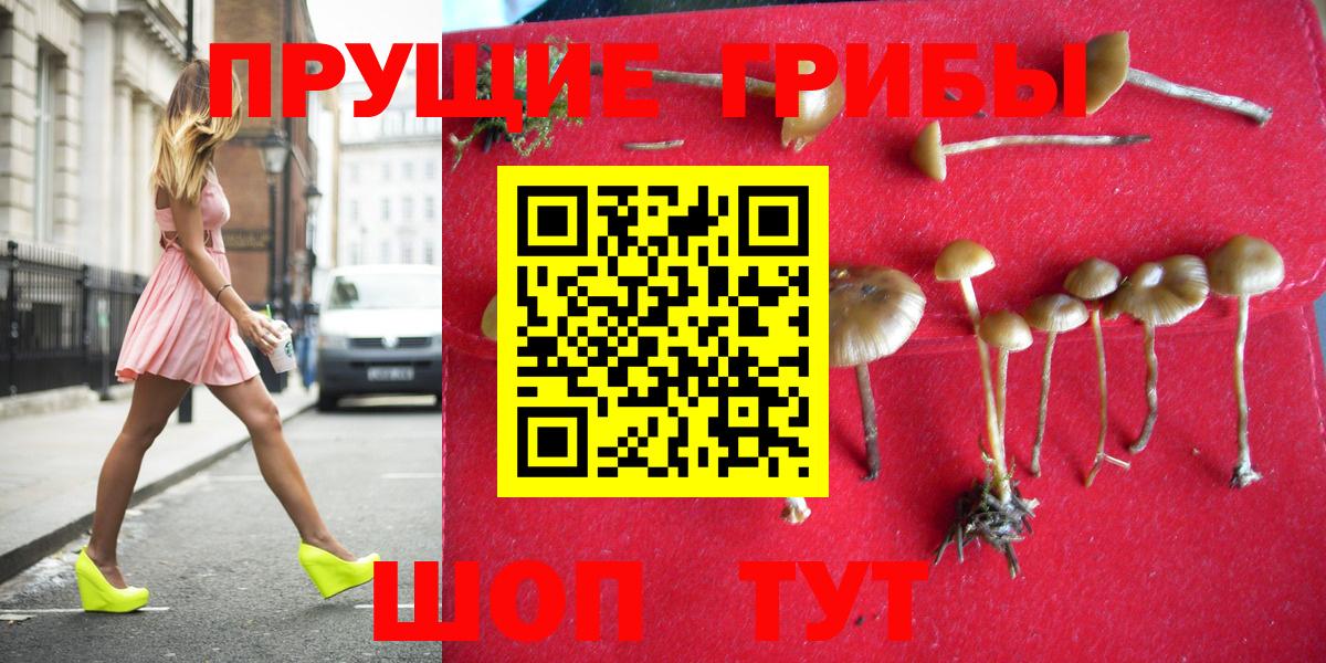 Галлюциногенные грибы ЛСД  Вход с VPN  Строитель 